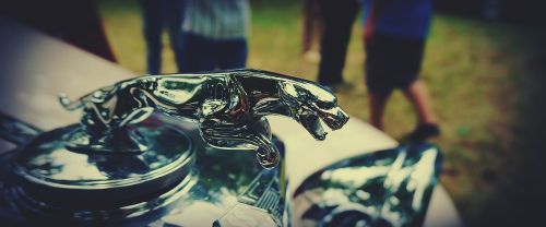 rally of vintage cars antique vehicles jaguar