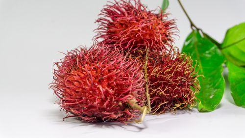 rambutan fruit background