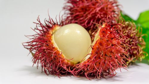 rambutan fruit background