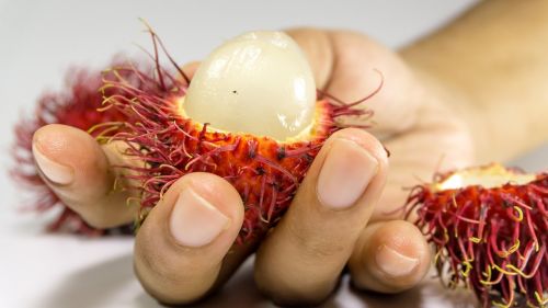 rambutan fruit background