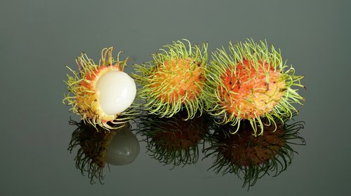 rambutan  fruit  tree