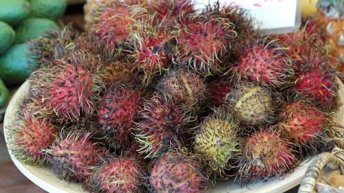 rambutan fruits fruit