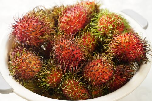rambutan fruits hairy fruit south east asian