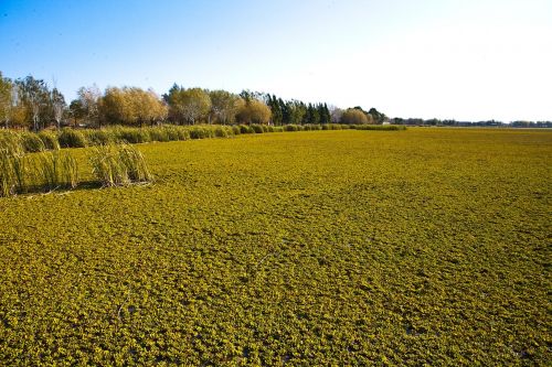 ranches field argentina