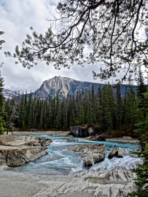 rapids waterfall cascades