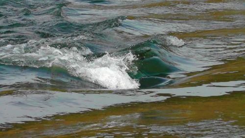 rapids rhine water