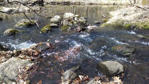 rapids water stream