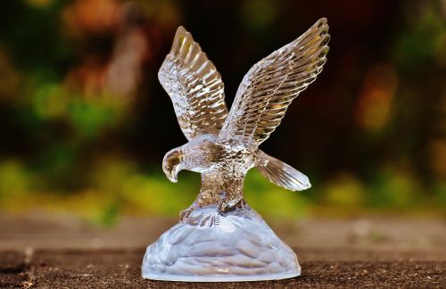 raptor adler glass