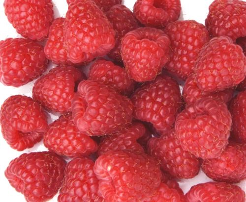 raspberries berries red