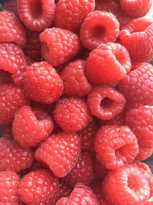 raspberries berries fresh