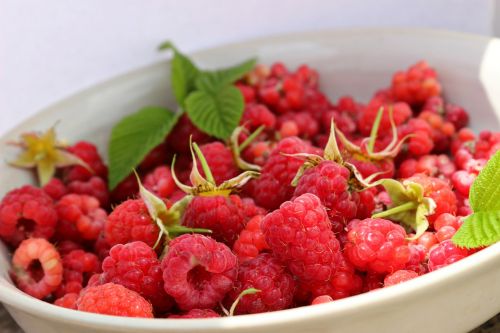 raspberries leaf green