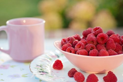 raspberries breakfast summer