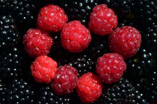 raspberries blackberries heart