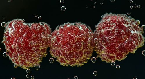 raspberries underwater food