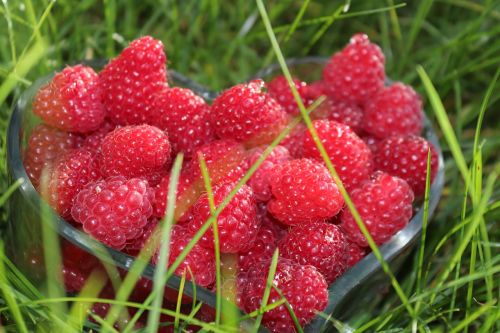 raspberries fruit fruits