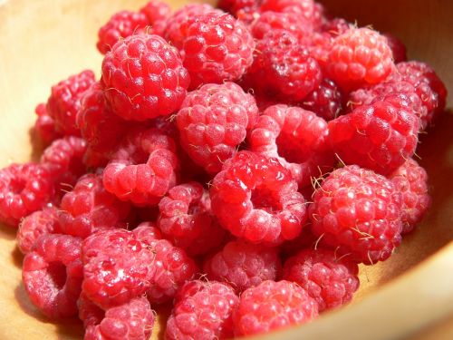 raspberries berries berry