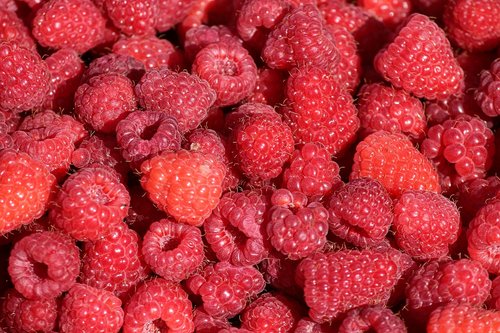 raspberries  berries  ripe