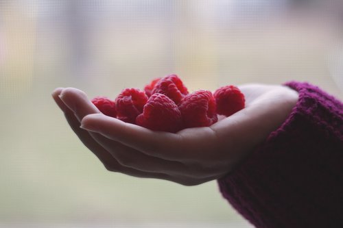 raspberries  fruits  woman
