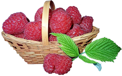 raspberries  fruit  basket