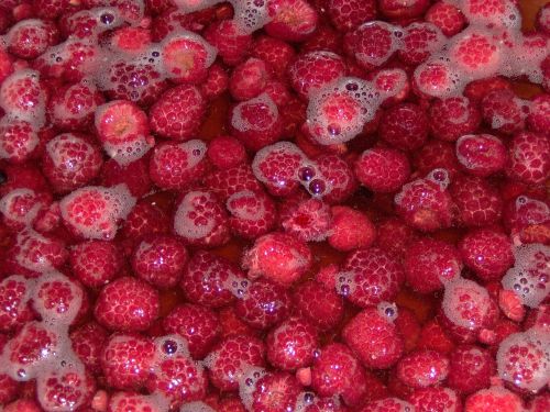 raspberries red washing