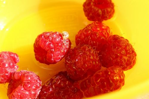 raspberries snail fruits