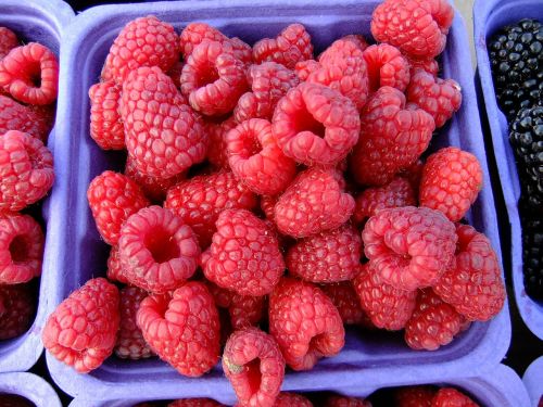 raspberries market fruit