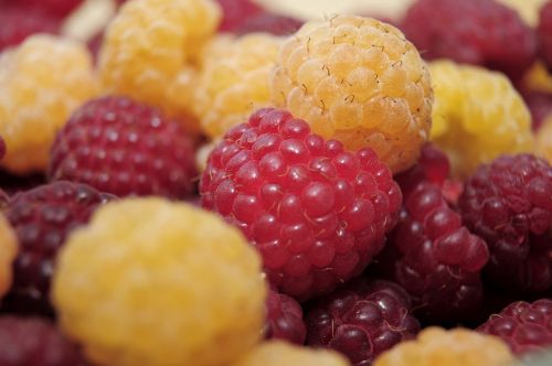 raspberries fruit dessert