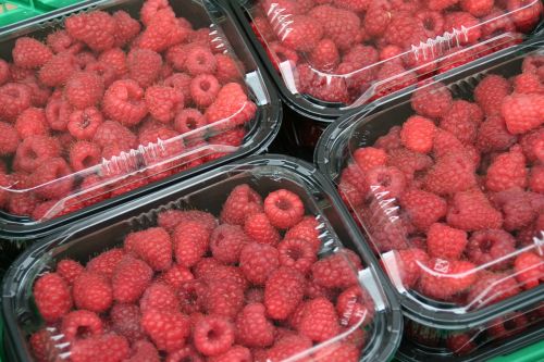 raspberries fruit trays