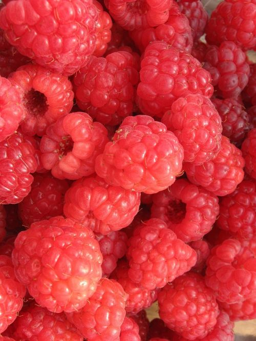 raspberries fruit food