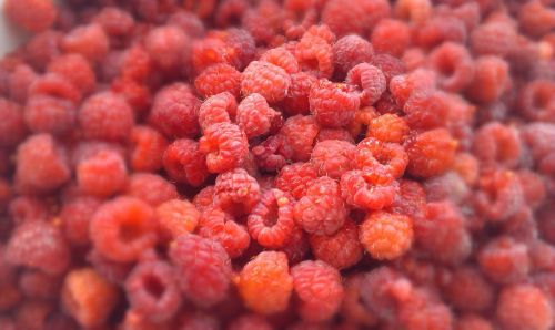 raspberry berry berries of a raspberry