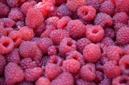 raspberry fruits fresh