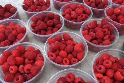 raspberry red market