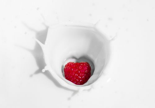 raspberry yogurt milk