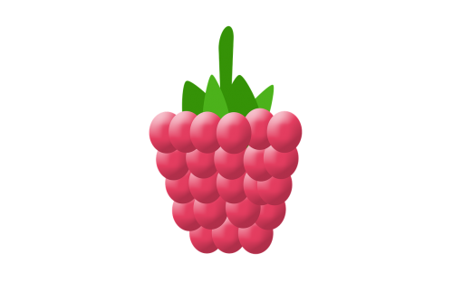 raspberry vector fruit