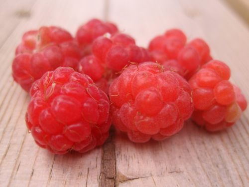 raspberry finland berry