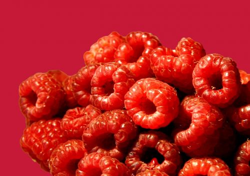raspberry raspberry cake raspberries