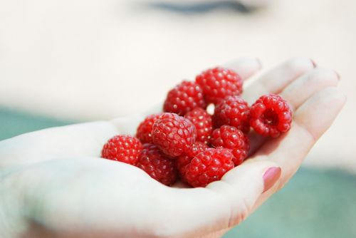 raspberry berry hand