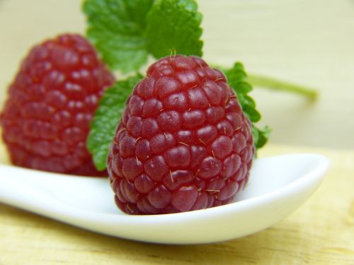 raspberry mint fruit