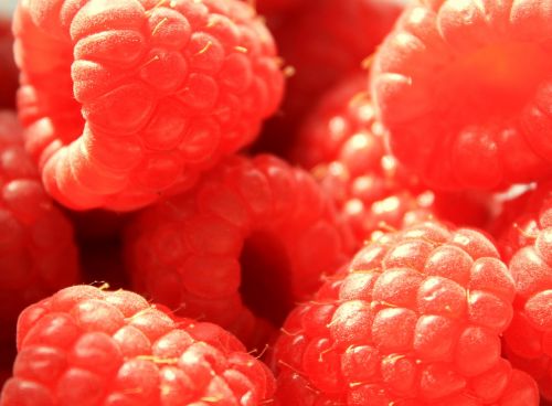raspberry raspberries berries