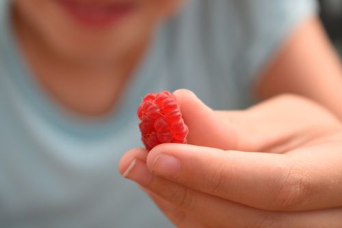 raspberry giving berry