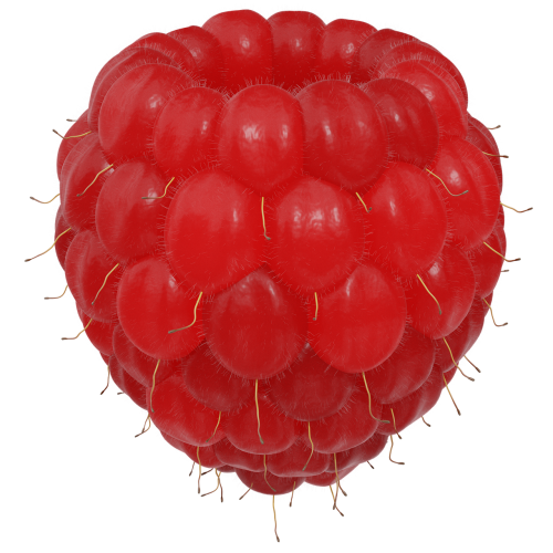 raspberry fruit berry