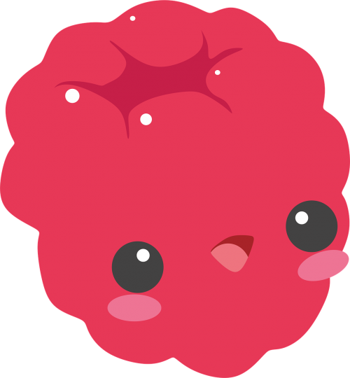 raspberry raspberries red