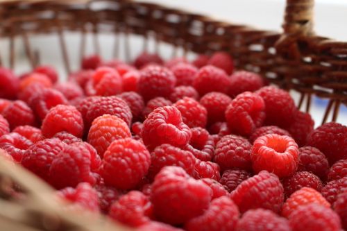raspberry berry berries of a raspberry