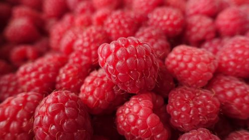 raspberry red food
