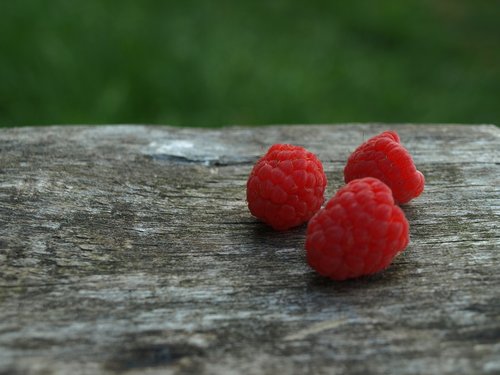raspberry  macro