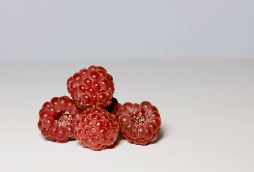 raspberry berry red