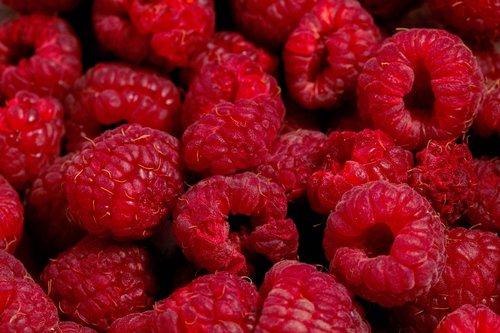 raspberry  fruit  ripe