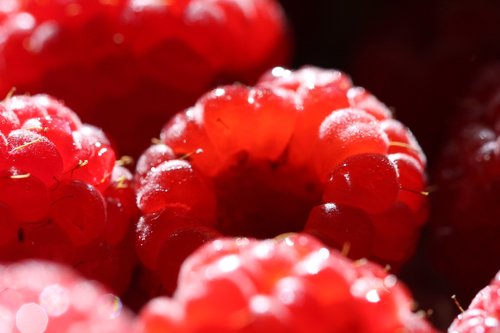 raspberry  macro  vitamin