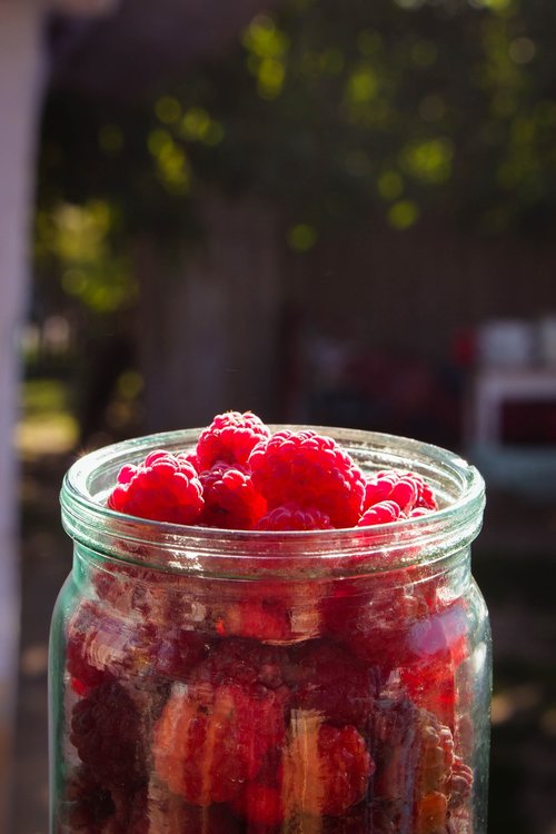 raspberry  tasty  fruit