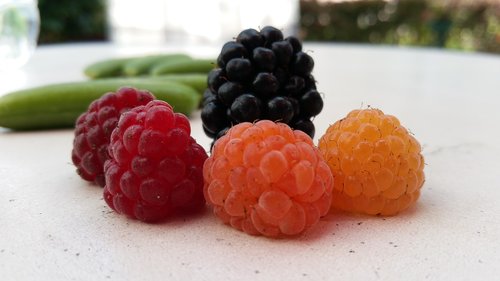 raspberry  blackberry  food